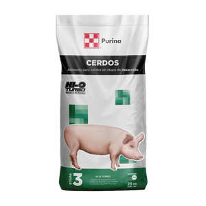 Desarrollo Hi-O Turbo - Llabana