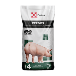 Finalización Hi-O Turbo - Llabana