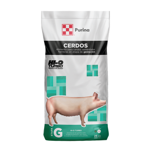 Gestación Hi-O Turbo - Llabana