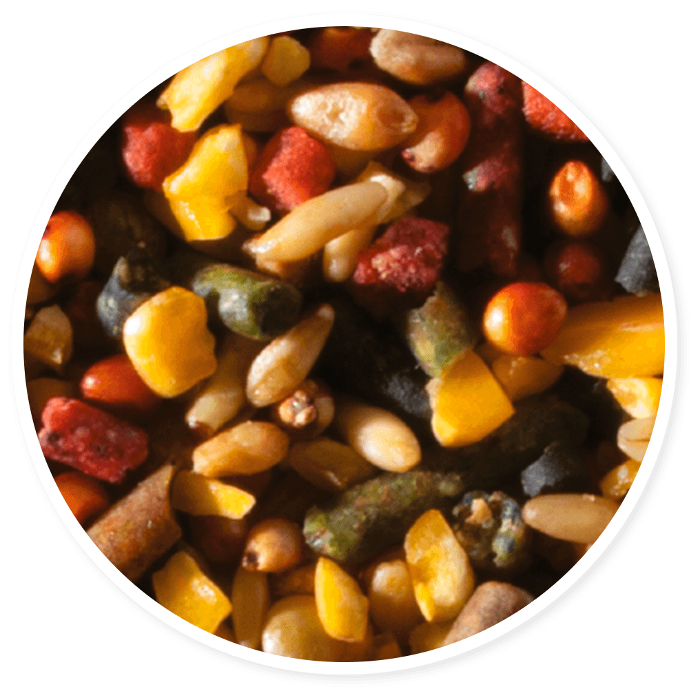 Purina Templanza Casta Brava - Llabana