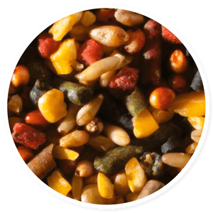 Purina Templanza Casta Brava - Llabana