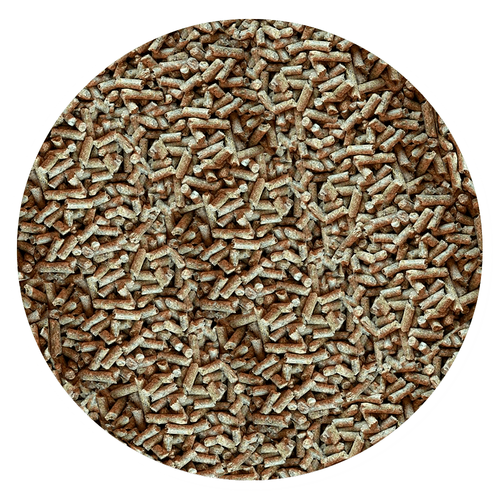 Purina Conejina N·ature - Llabana