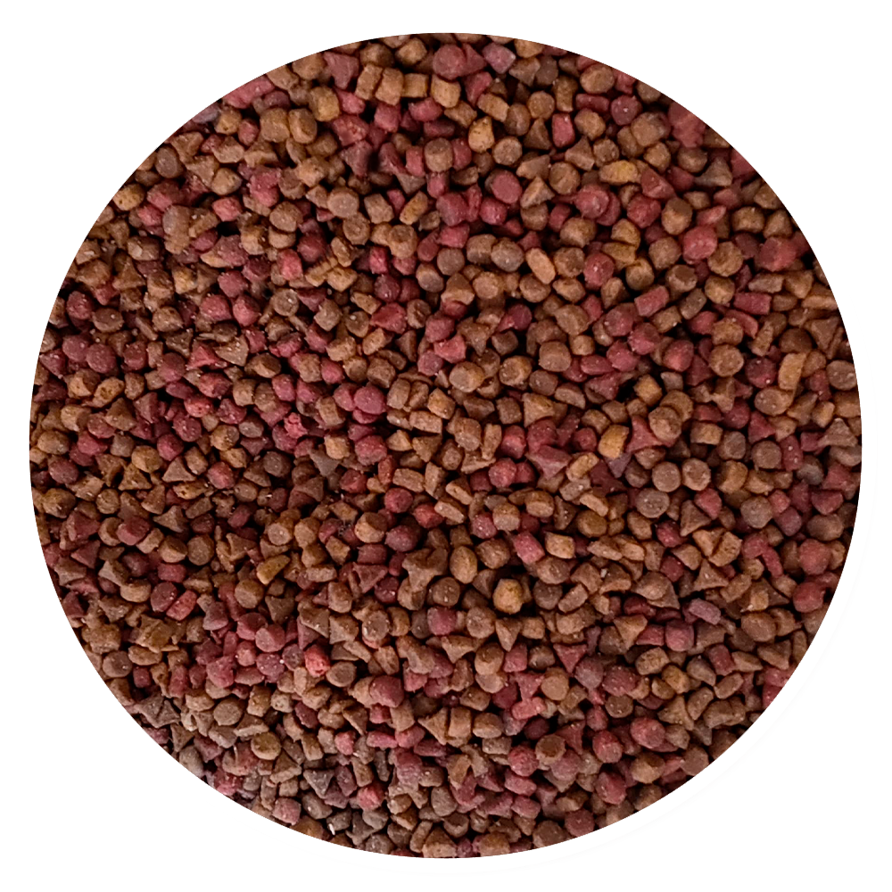 Croquetas Kisha - Llabana