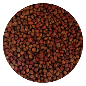 Croquetas Noble Adultos - Llabana