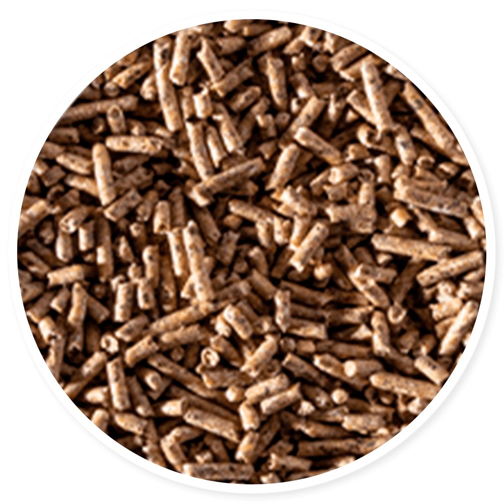 Purina Templanza Entrepelea - Llabana