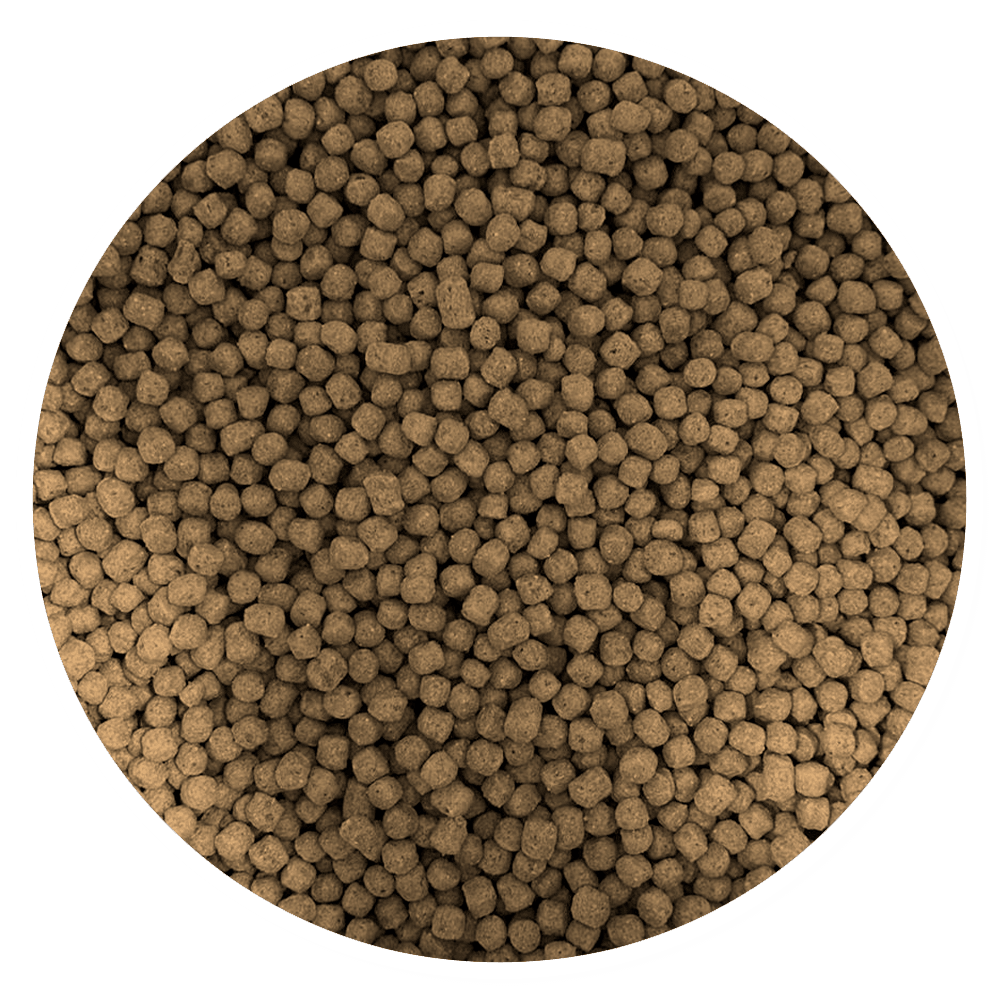 Purina Nutripec Engorda 3.5 mm - Llabana