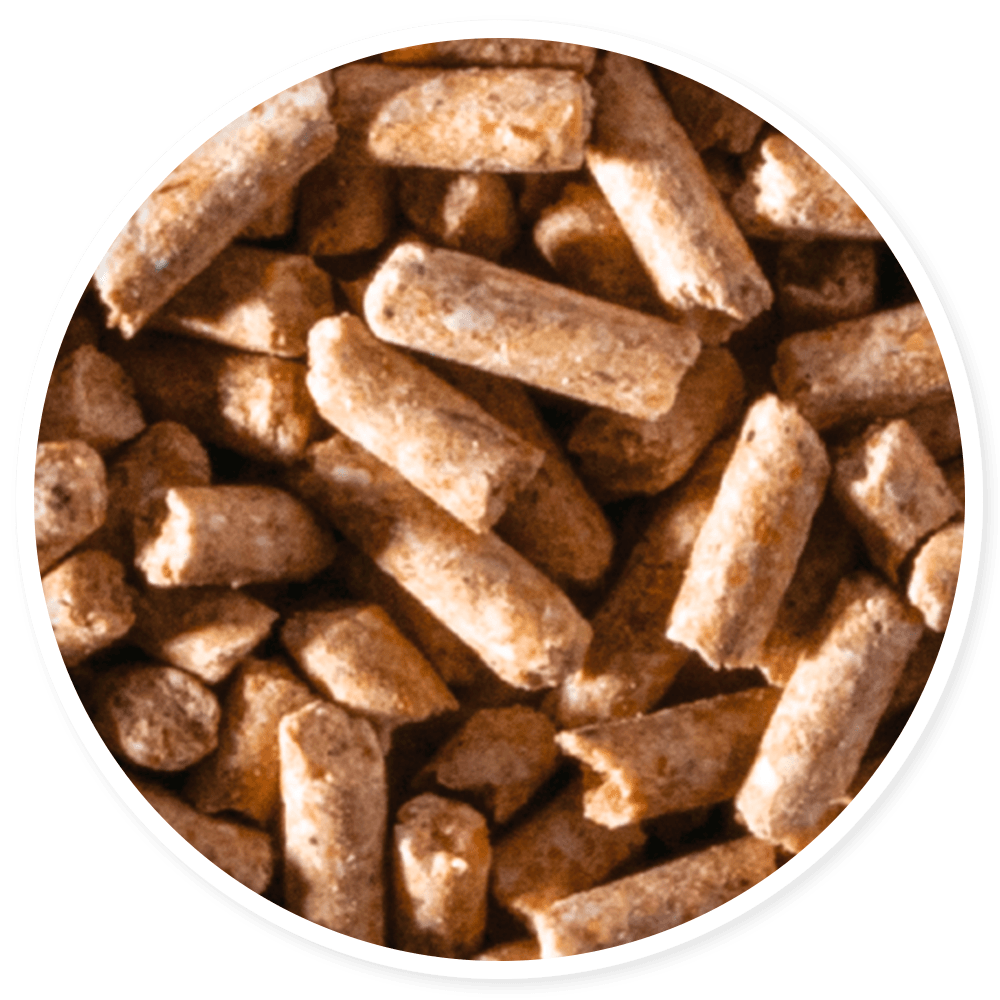 Purina Templanza Forja Brava - Llabana