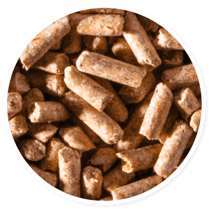 Purina Templanza Forja Brava - Llabana