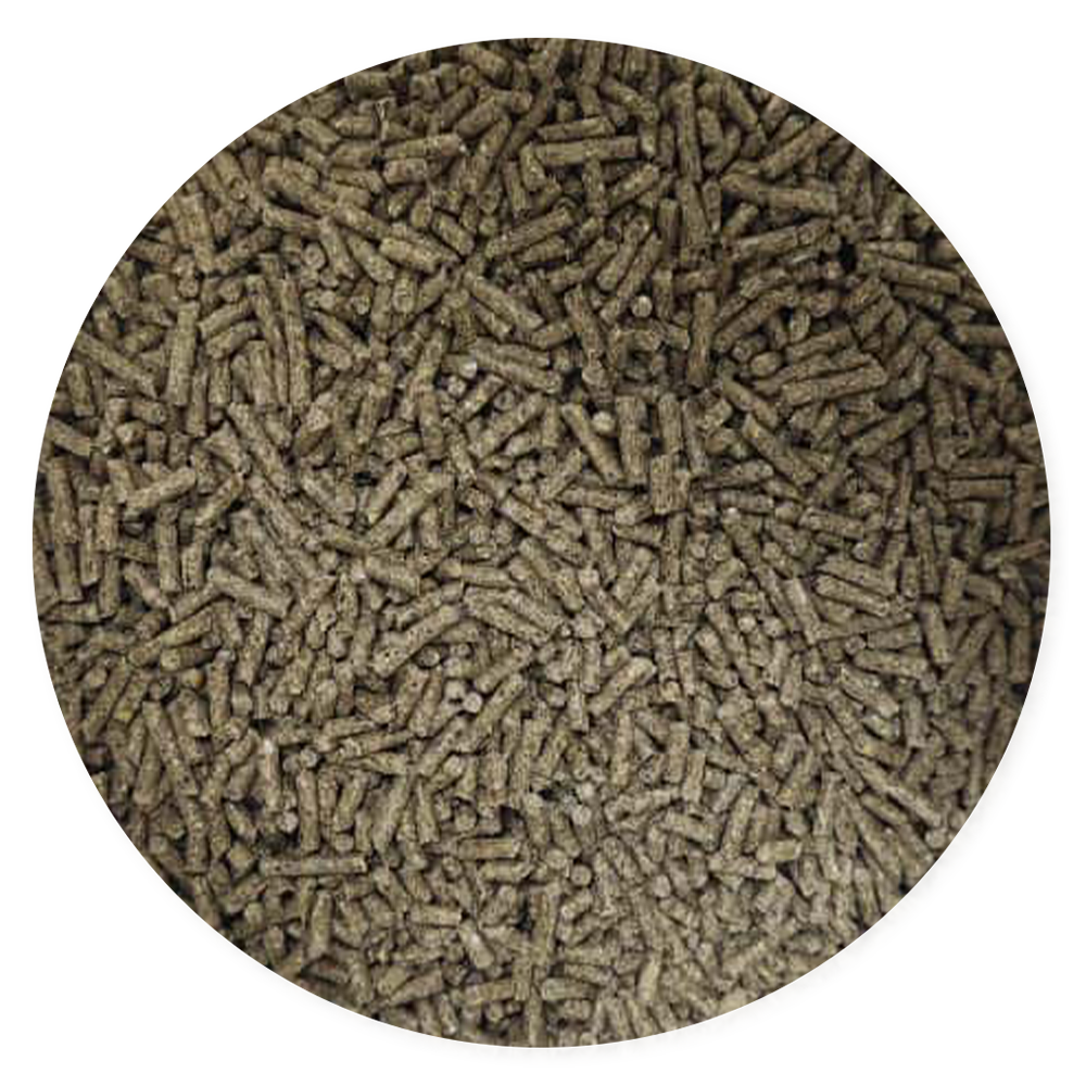 Purina Ke Bueno Conejos - Llabana