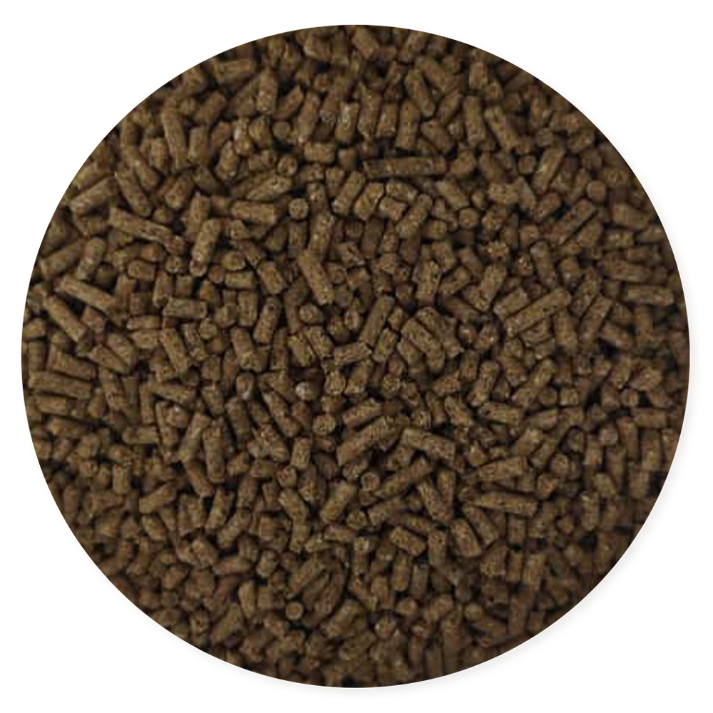 Purina Ke Bueno Desarrollo Cerdos - Llabana