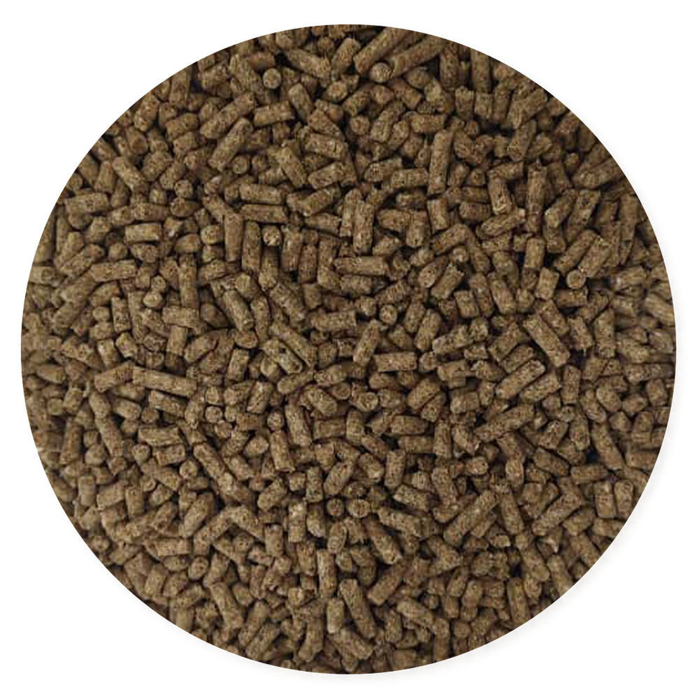 Purina Ke Bueno Gestación y Lactancia - Llabana