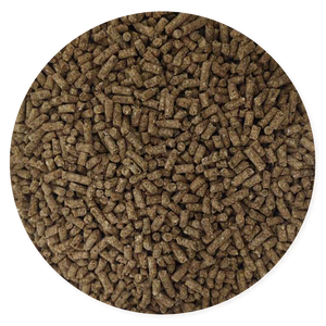 Purina Ke Bueno Gestación y Lactancia - Llabana