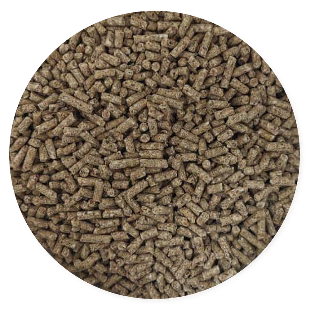 Purina Ke Bueno Lechones - Llabana