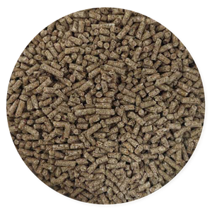 Purina Ke Bueno Lechones - Llabana