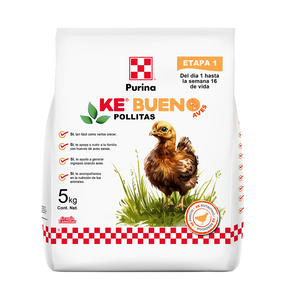 Purina Ke Bueno Pollitas - Llabana