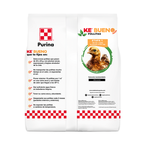 Purina Ke Bueno Pollitas Back - Llabana
