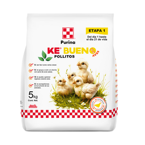 Purina Ke Bueno Pollitos 5 KG