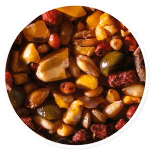 Purina Templanza Mega Plumax - Llabana