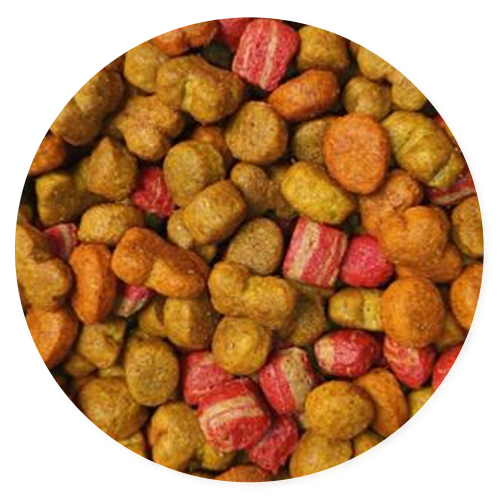 Grandpet Croquetas Nutrescan Bioplus - Llabana