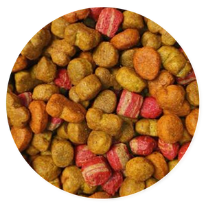 Grandpet Croquetas Nutrescan Bioplus - Llabana