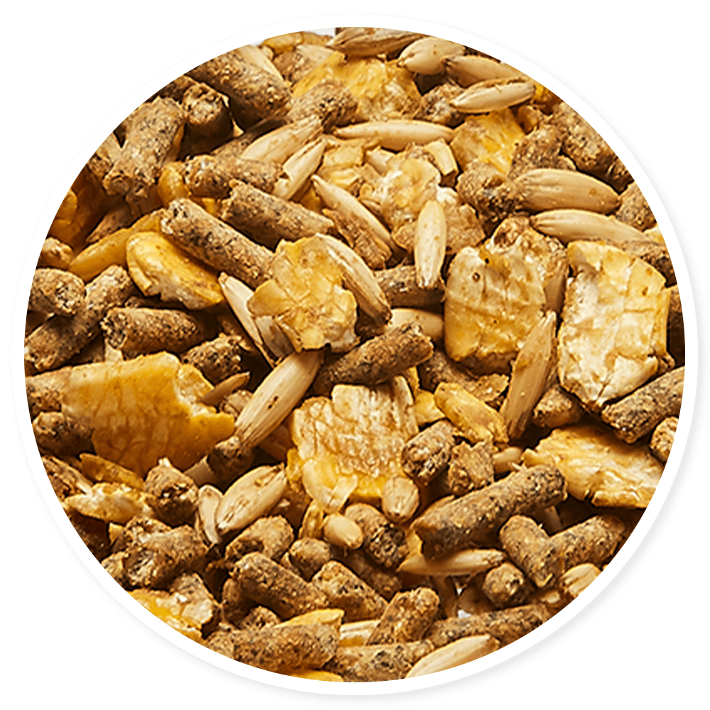 Purina Omolene 300 Dúo - Llabana