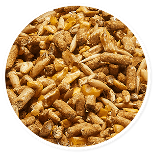 Purina Omolene 350 Invictus - Llabana