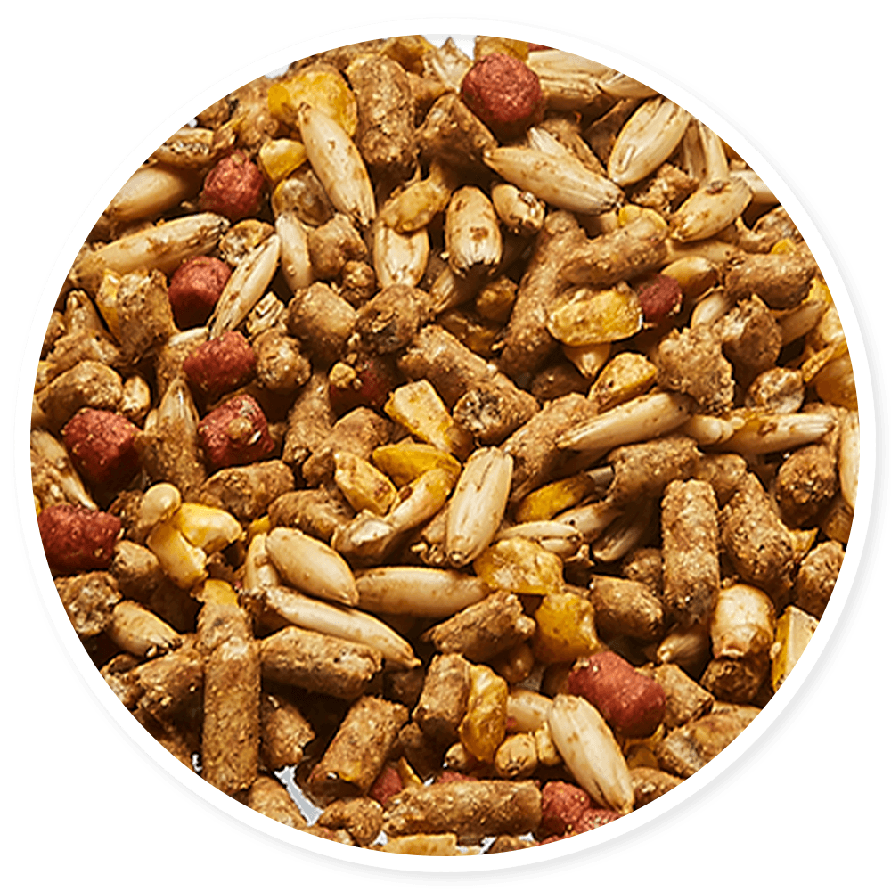 Purina Omolene 400 Power - Llabana