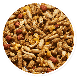 Purina Omolene 400 Power - Llabana