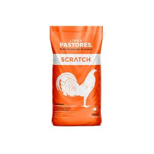 Pastores Scratch - Llabana