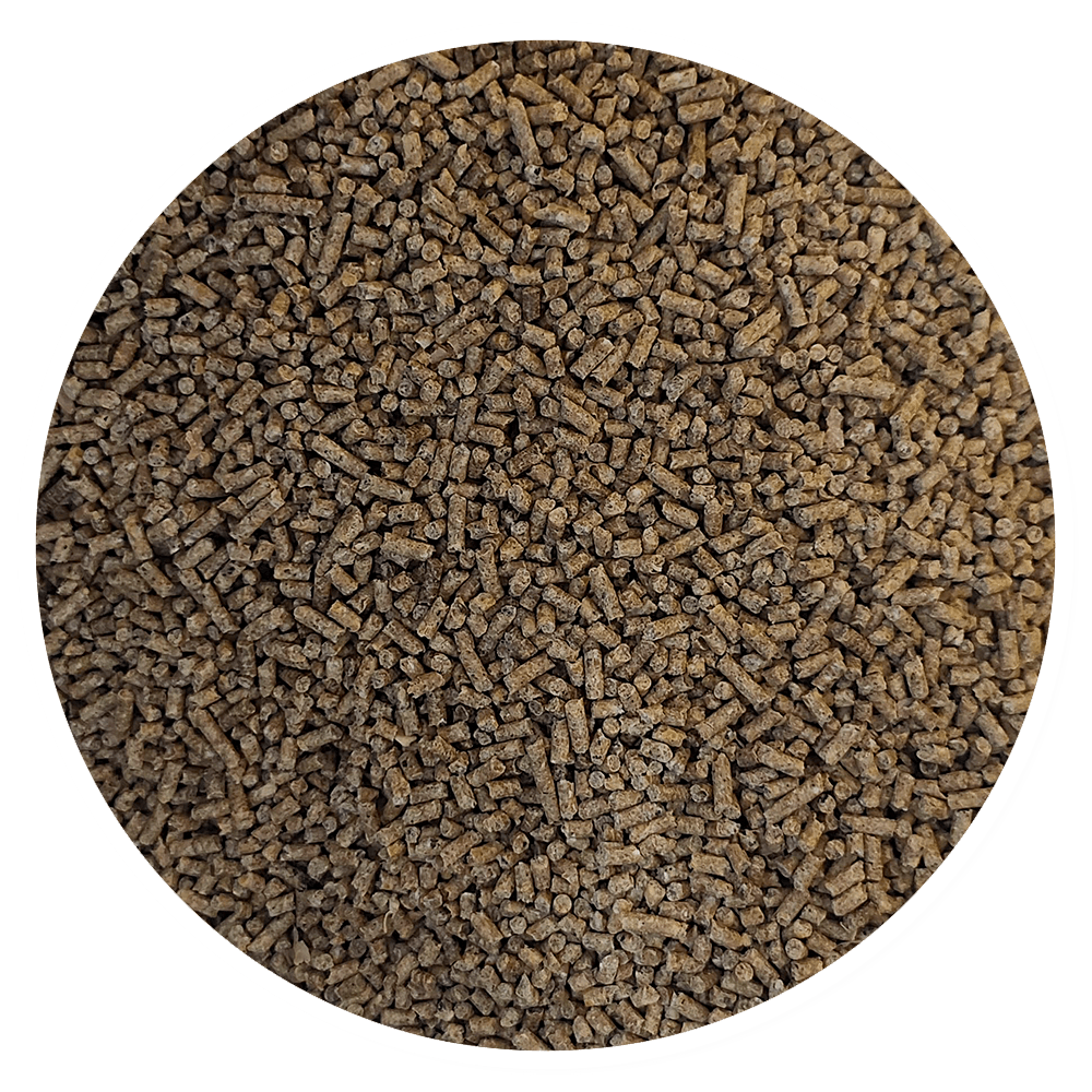 Purina Templanza Pelea Startina 1 - Llabana