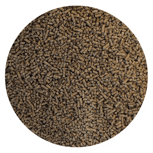 Purina Templanza Pelea Startina 2 - Llabana