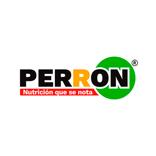 Croquetas Perron