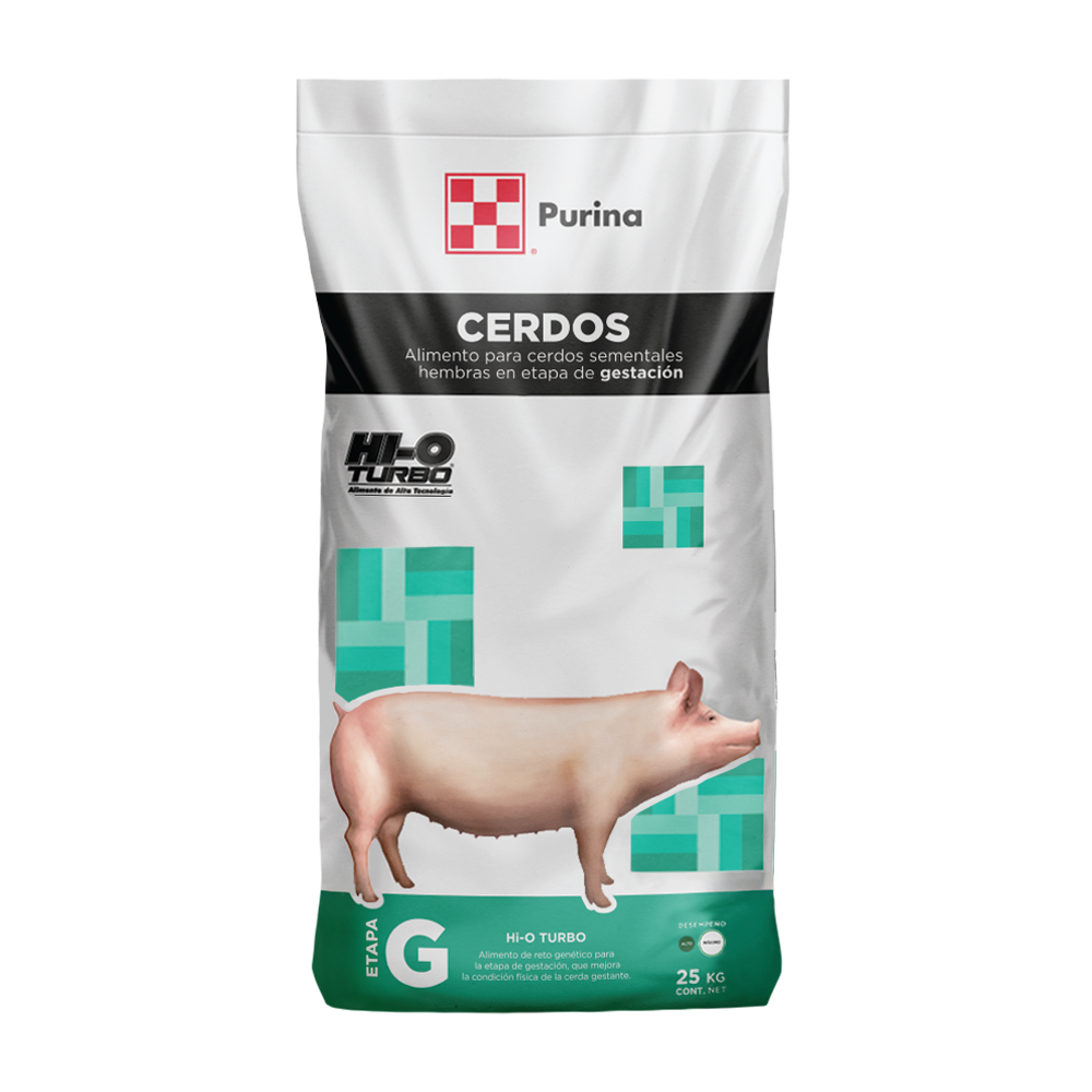 Gestación Hi-O Turbo - Llabana