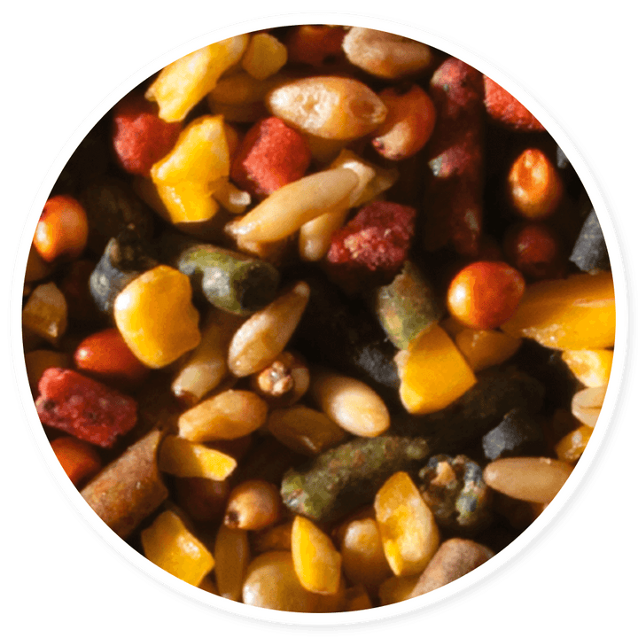 Alimento para Gallos | Super Breed, Entrepelea, Black Mamba, Golden Mix ...
