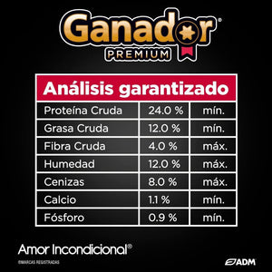 Croquetas Ganador Premium Adulto - Llabana