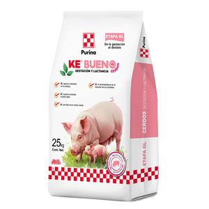 Purina Ke Bueno Gestación y Lactancia - Llabana