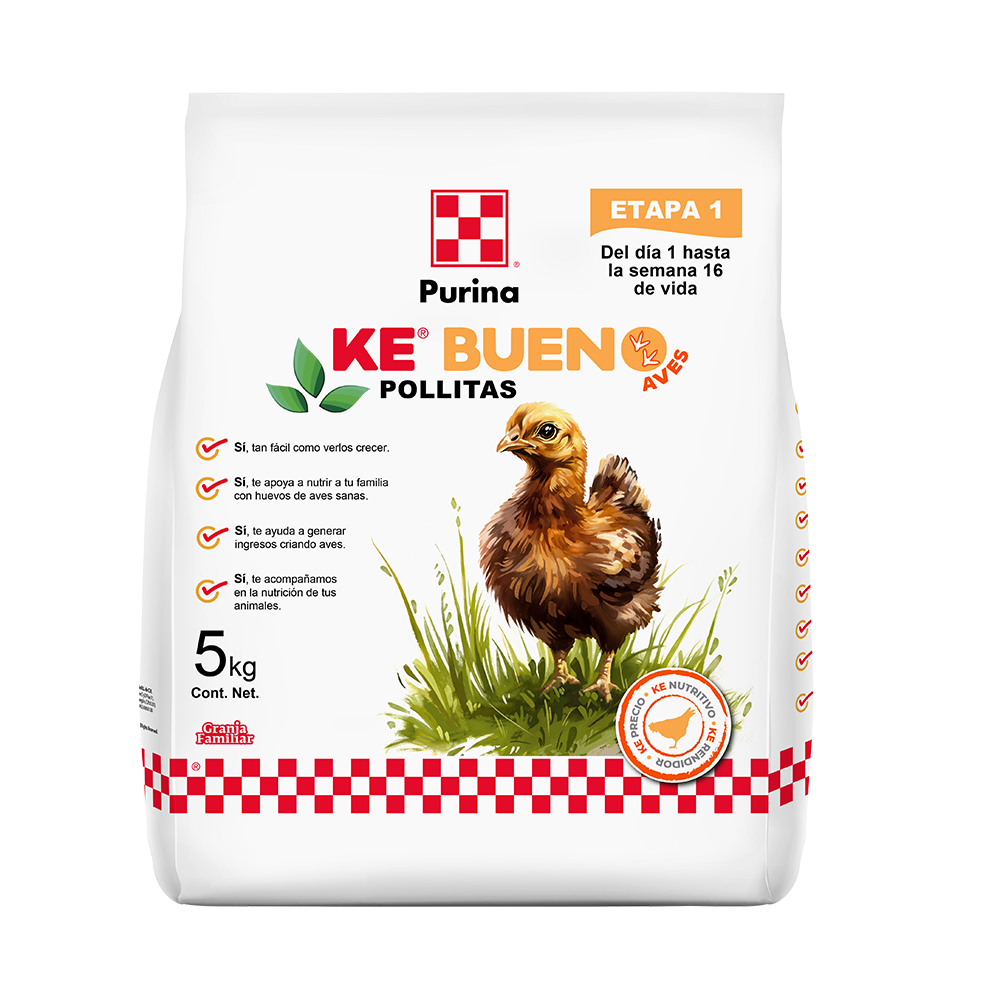 Purina Ke Bueno Pollitas - Llabana