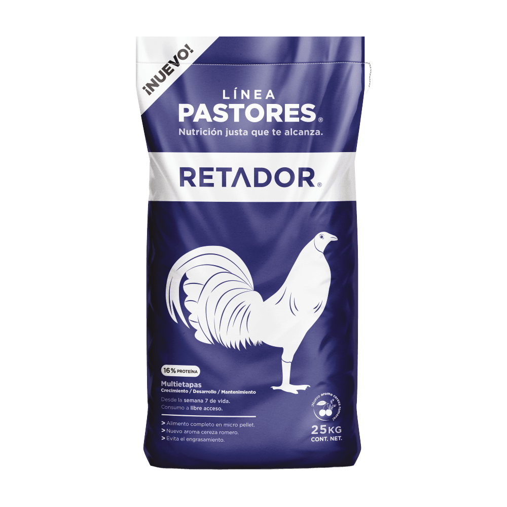 Pastores Retador - Llabana