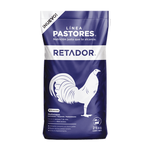 Pastores Retador - Llabana