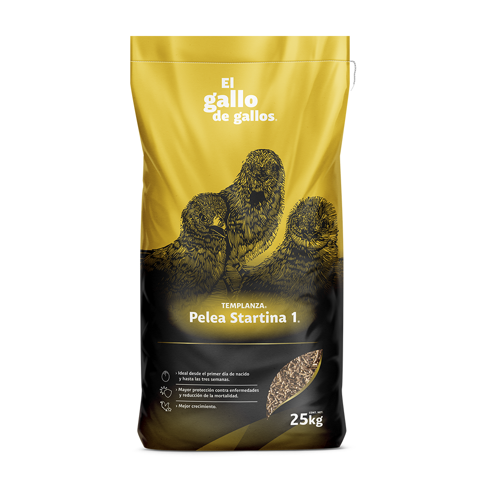 Purina Templanza Pelea Startina 1 - Llabana