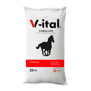 V-ital Caballos - Llabana