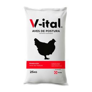 V-ital Postura - Llabana