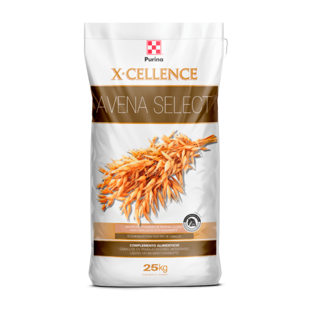 X-Cellence Avena Select - Llabana