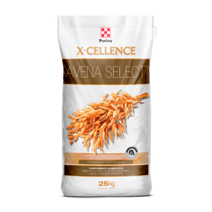 X-Cellence Avena Select - Llabana